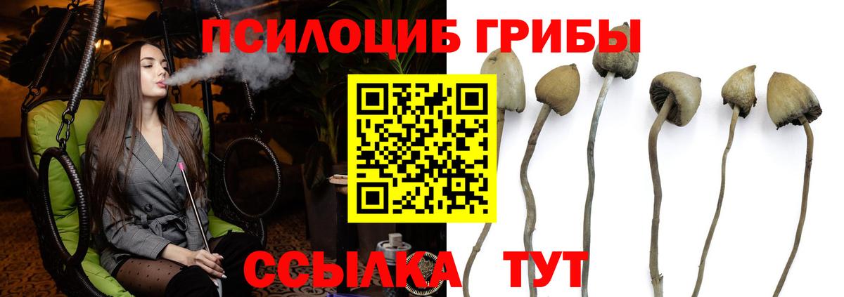 Королёв  Галлюциногенные грибы Psilocybe  Вход с VPN  Галлюциногенные грибы MAGIC MUSHROOMS 